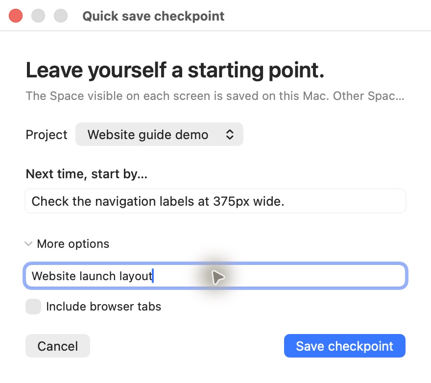 Actual save form for Website guide demo, with a next step and More options expanded.